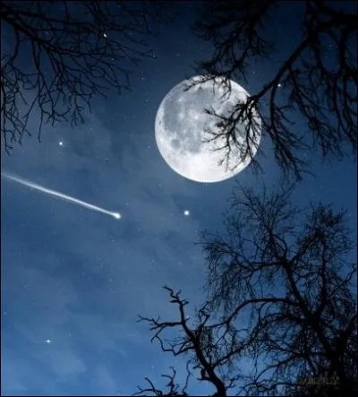 Dans l'univers, quels astres mettent de la lumire ?