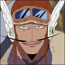 Qui est ce personnage de One Piece ?