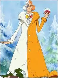 Qui est ce personnage de One Piece ?