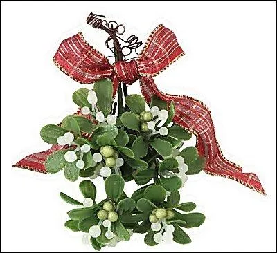 Je suis une branche d'une plante et quand on m'accroche, les deux personnes qui sont en dessous doivent s'embrasser. Que suis-je ?