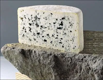 De quelle rgion franaise, nous vient ce fromage appell 'Bleu' ?