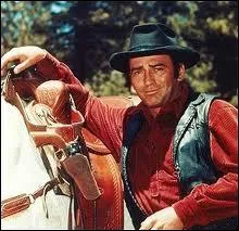 Quelle srie western peut-on voir cette anne-l sur nos crans de tlvision ?