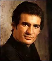 Qui chantait cette anne l ' La plage aux romantiques ' ?