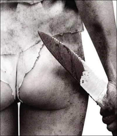 Remake d'un Rape&Revenge des annes 70 qui marqua son poque... .