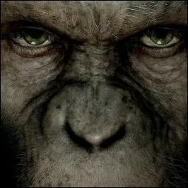 Bien plus fort que l'homme...