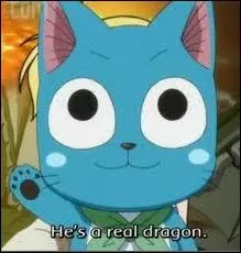 Qui est ce petit chat ?