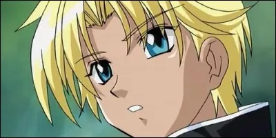 Dans "Mew mew power", comment se nomme Ryo Shirogane dans le version française ?