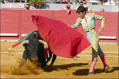 Lors d'une corrida, c'est le rouge qui existe le taureau.