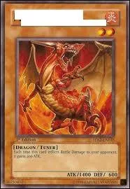 Quelle est cette carte ?