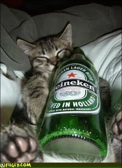 Et une Heineken, une. La marque Heineken est une marque venant...