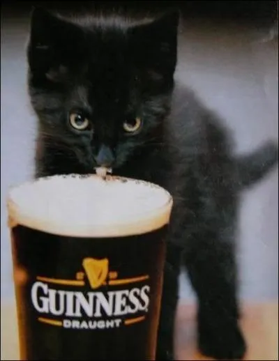 Lui, prfre la Guiness. Guiness est une marque...