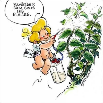 Comment surnomme-t-on Cupidon ?