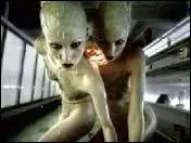 A quel clip appartient cette image ?