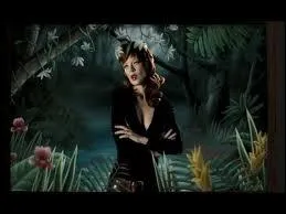 A quel clip appartient cette image ?