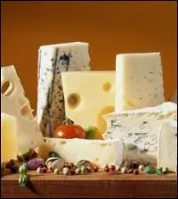 Le fromage est particulirement riche en :