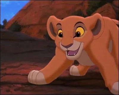 Qui est ce personnage du Roi Lion ?