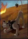 Qui est ce personnage du Roi Lion ?