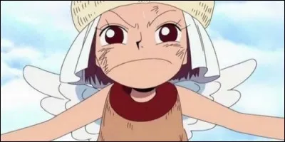 Qu'est-ce que Aisa, jeune Shandia, collecte sur Skypiea ?