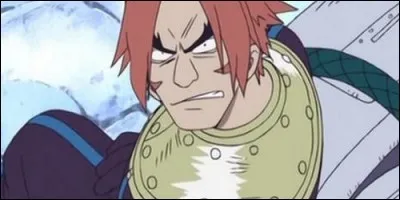 Comment s'appelle l'île où Reik, le petit-fils du maire, combat Sanji ?