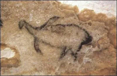 Le pingouin de la grotte Cosquer