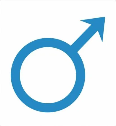 Que veut dire 'a boy' ?