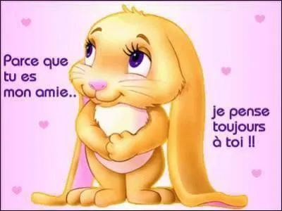 Que veut dire 'a friend' ?