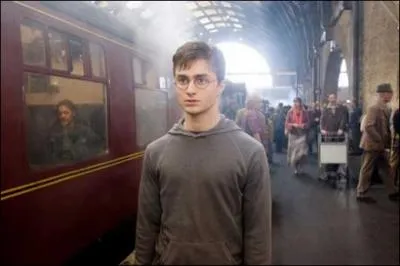 De quel tome vient cette photo de Harry Potter ? (O suis-je ? )