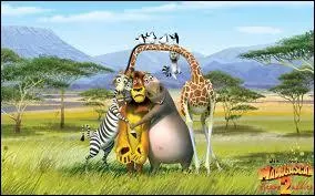 Combien sont-ils ? (les animaux principaux du film)