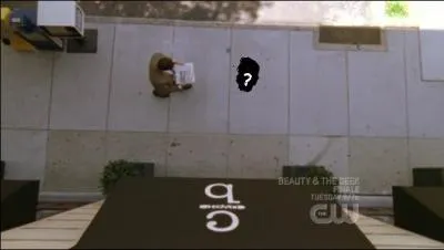 Saison 5 : Dans l'pisode 517 quelle est la couleur de la bombe  eau que jette Peyton et Haley sur Dan ?