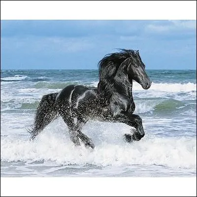 Quelle est cette robe ?