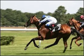 Actuellement, pourquoi l'utilise-t-on ? (principalement)