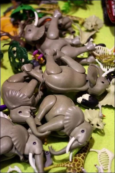 Qui est l'interprte de cette chanson ?