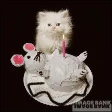 Vous regardez le gteau interdit :