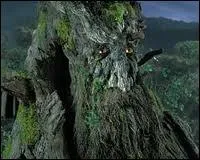 Selon Tolkien, Sylvebarbe est le reprsentant du peuple des...