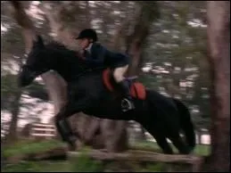 Comment s'appelle ce cheval ?