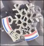 Quelle insigne, destine  rcompenser des lves de l'Ecole du Ski Franais se situe juste au-dessous de la 'premire toile' ?