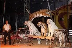 Qui animait de 1962  1976, l'mission TV 'la piste aux toiles' ?