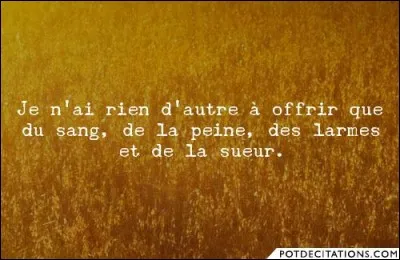 ''Je n'ai rien d'autre à offrir que du sang, des larmes et de la sueur.''