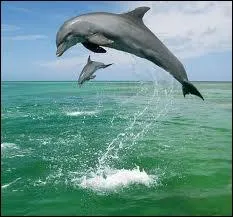 Combien sommes-nous ?