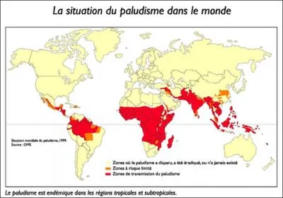 Quel animal peut transmettre le paludisme ?