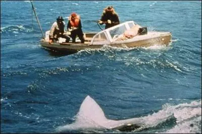De quel clbre ralisateur est le film 'Les Dents de la mer' ?