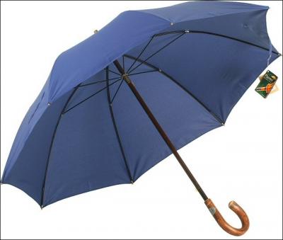 En France, le parapluie existait dj au temps des gaulois ?