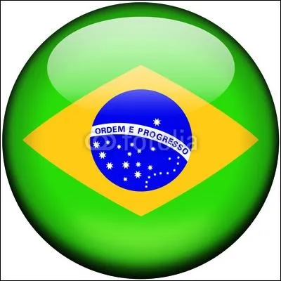 Le Brsil a chang de capitale au XX me sicle.