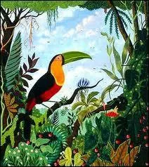 Qui a peint Toucan  ventre rouge ?