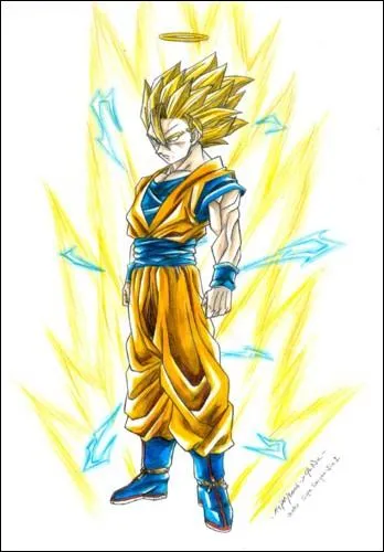 Sur cette photo, en quel mode est-il ?