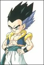 Comment s'appelle la fusion entre Goten et Trunks ?