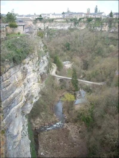 Quelle est la longueur de cette curiosit ?