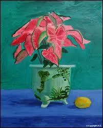 Qui a peint Caladium rose ?