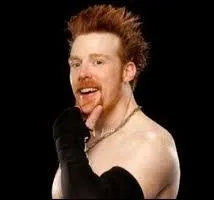 Comment s'appelle le Finisher de Sheamus ?