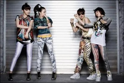 Qui est la Maknae (la plus jeune) ?